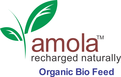 Amola Logo