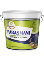 Parasmani